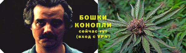 мяу мяу кристалл Покачи
