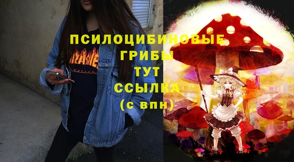 мяу мяу кристалл Покачи