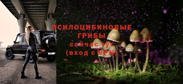 мяу мяу кристалл Покачи