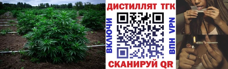 Дистиллят ТГК Wax сколько стоит Строитель